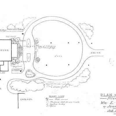 Plan of Grounds [McLeod Plantation]