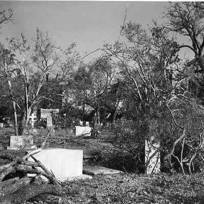 Church Graveyard After Hurricane Hugo