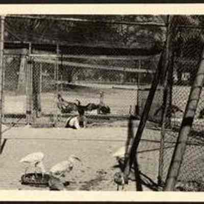 Photo Album Page 30