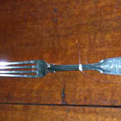 Fork, Dinner