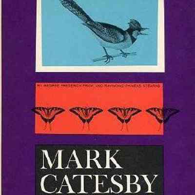 Mark Catesby: The Colonial Audubon