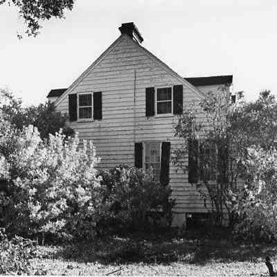 Snee Farm After Hurricane Hugo