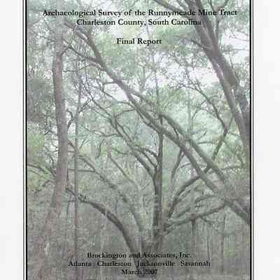 Archeological Survey of the Runnymeade Mine Tract, Charleston County, South Carolina: Final Report