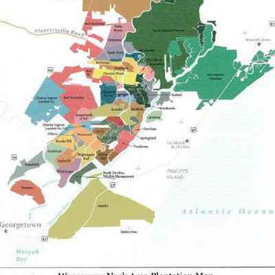 Waccamaw Neck Area Plantation Map, Pee Dee River Region