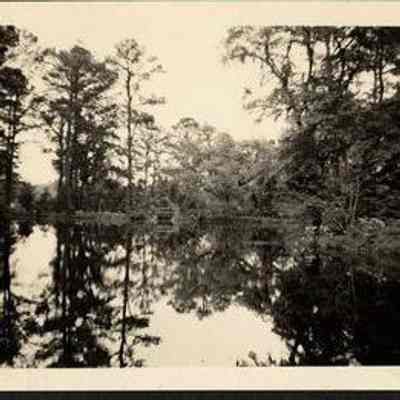 Photo Album Page 59