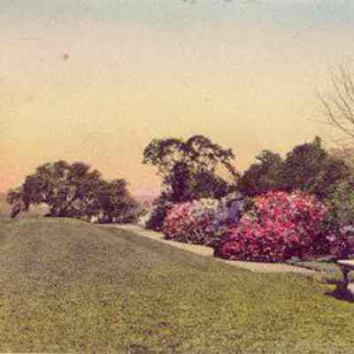 The Terrace, Sunken Gardens, Middleton Place Gardens