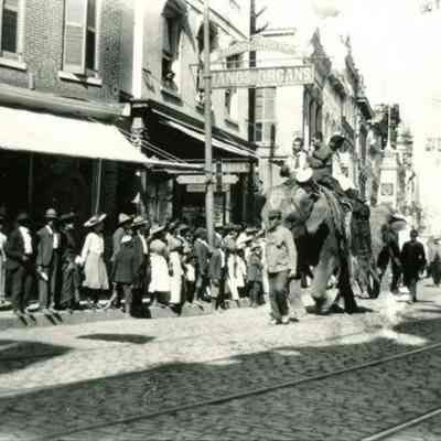 Circus Elephants on Parade on King Street