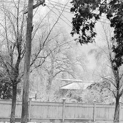 Side Yard, 128 Tradd Street