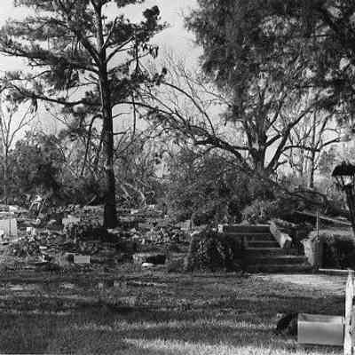 Grounds Strewn with Debris, McClellanville, Ater Hurricane Hugo