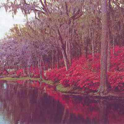 Middleton Gardens