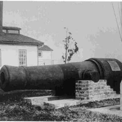 Cannon at Quarantine Station