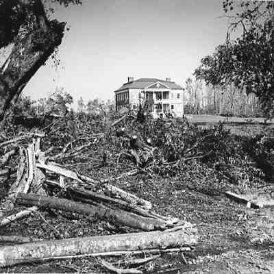 Drayton Hall After Hurricane Hugo