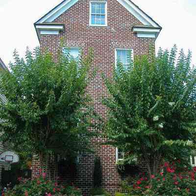 15 Wraggborough Lane