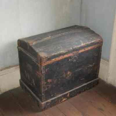 Trunk
