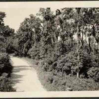 Photo Album Page 36