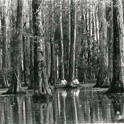 Cypress Gardens