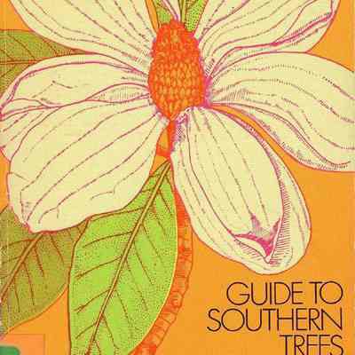 Guide to Southern Trees