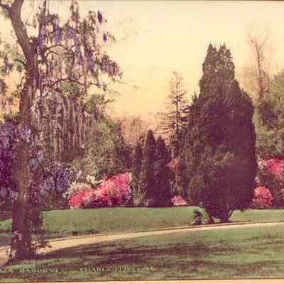 Magnolia Gardens