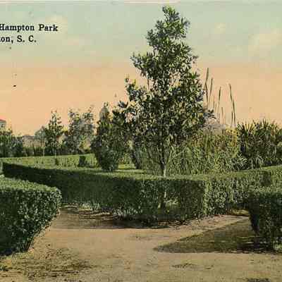 Early 20th Century Hampton Park Postcards