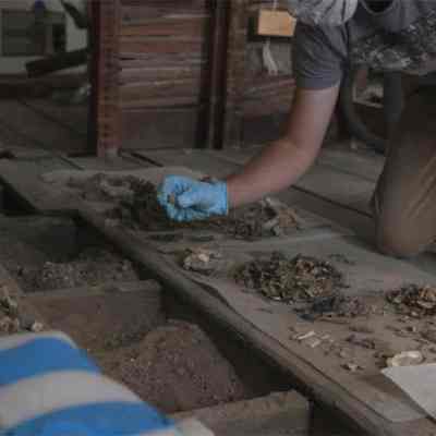 The Kitchen House Project of Historic Charleston Foundation [MP4]