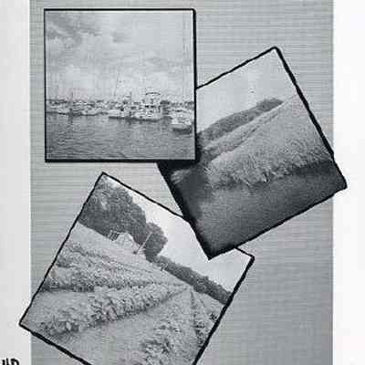 Johns Island Plan