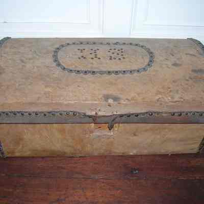 Trunk