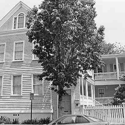 71 Pitt Street (Desel House)