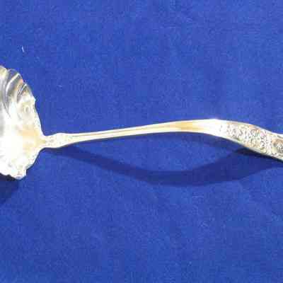 Ladle, Sauce