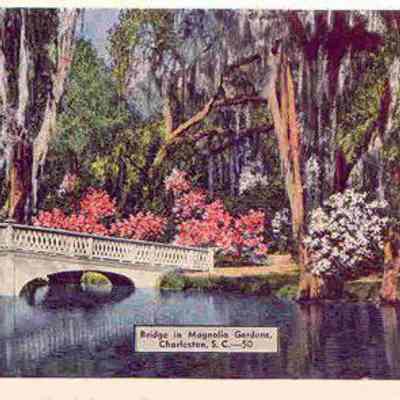 Bridge in Magnolia Gardens