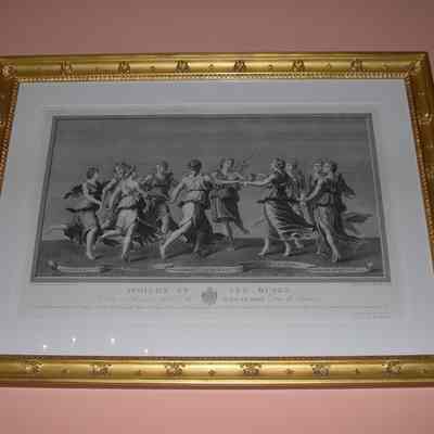 Apollo Et Les Muses