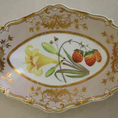 Dish