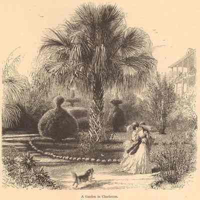 Charleston and Its Suburbs