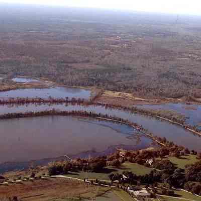 Aerial Views of Mulberry Plantation