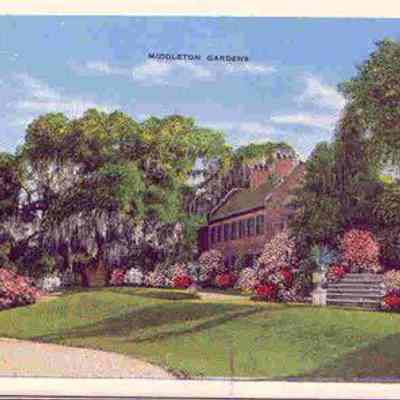 Middleton Gardens