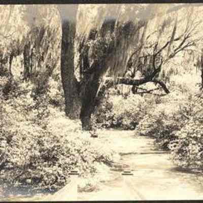 Photo Album Page 50