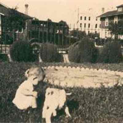 Toddler, Goat, and Elmwood Avenue Houses