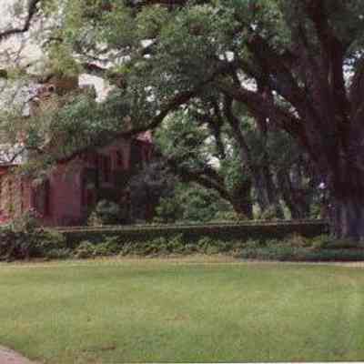 Medway Plantation