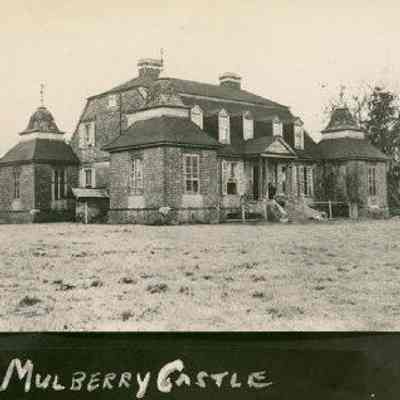 Mulberry Castle: The Land of My Dreams [DVD]