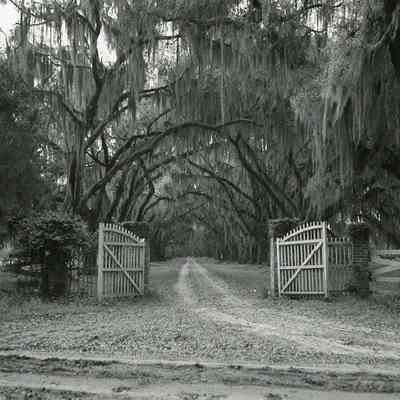 Entrance to Tomotley Plantation