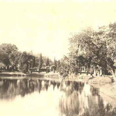 Scene in Magnolia Cemetery