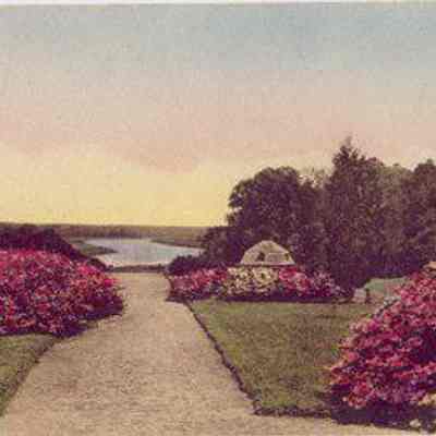 View from the Ruins of Old Mansion, Middleton Place Gardens