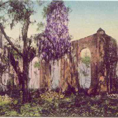 Old Sheldon Episcopal Church Ruins