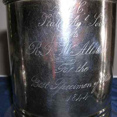 Cup