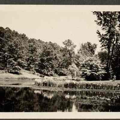 Photo Album Page 44