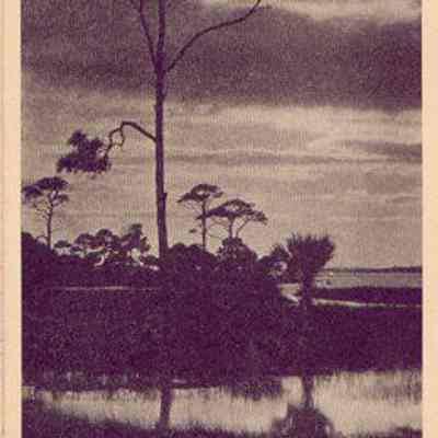 Typical Low Country Scene