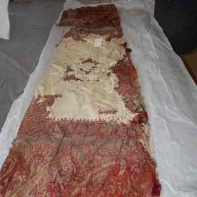 Shawl