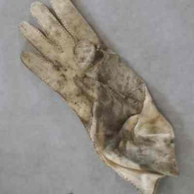 Glove