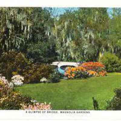 A Glimpse of Bridge, Magnolia Gardens
