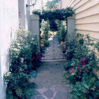 Charleston Slides: Tradd Street