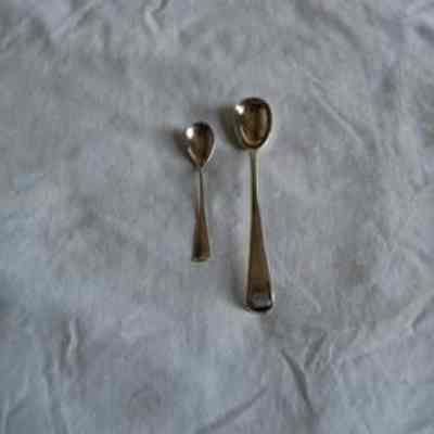Salt Spoon